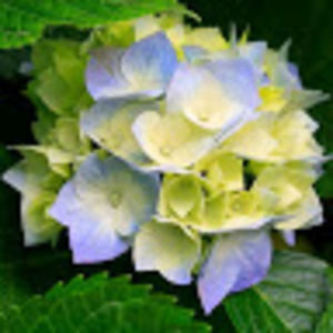 Meet your Posher, Kellie